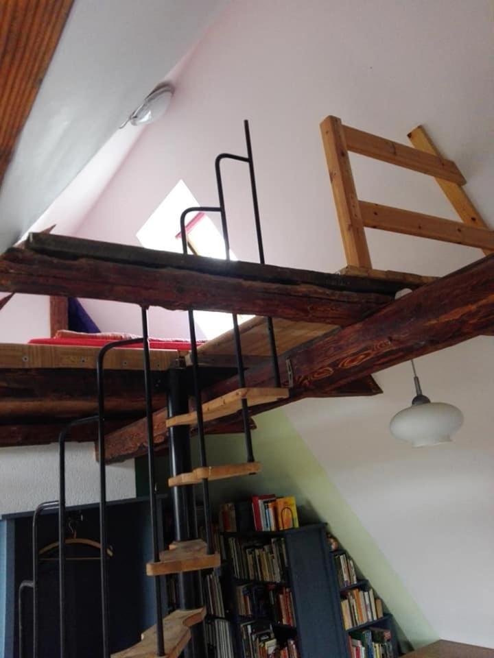 Apartamento Appel-Ranch Bockelwitz Habitación foto